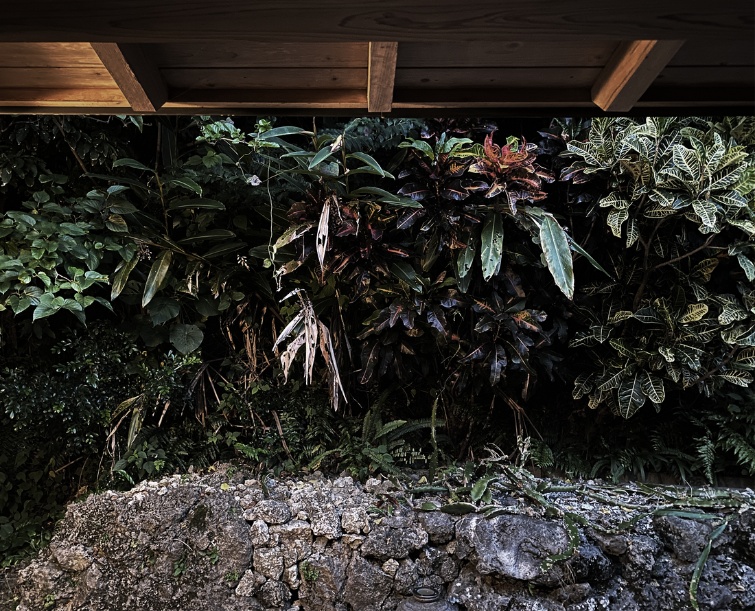 作品と向き合う時になくてはならない３つの大切なもの